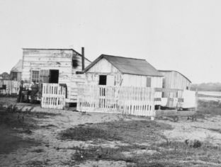 Typical house at Mitchelville, 1864.